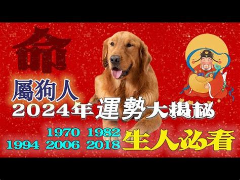 1982年屬狗 運勢|【1982 屬狗】1982年屬狗2024年驚人運勢：最佳婚配、忌諱生肖。